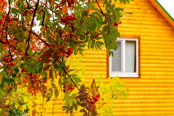 Garden Window Replacement in Stuart
